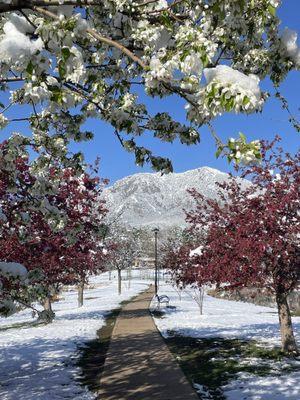 South Boulder Recreation Center