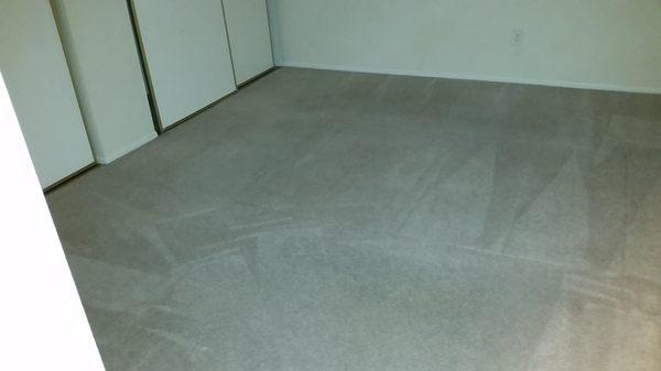 Culver City Carpet Cleaning Pros