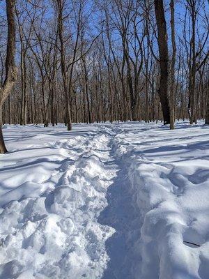 Perfect place for snow shoes walking.