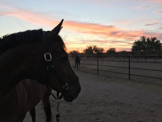 Osoready Equestrian Center