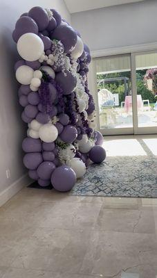 Balloon Arch Backdrop