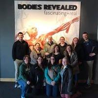 Staff outing to Bodies Revealed at the Grand Rapids Public Museum