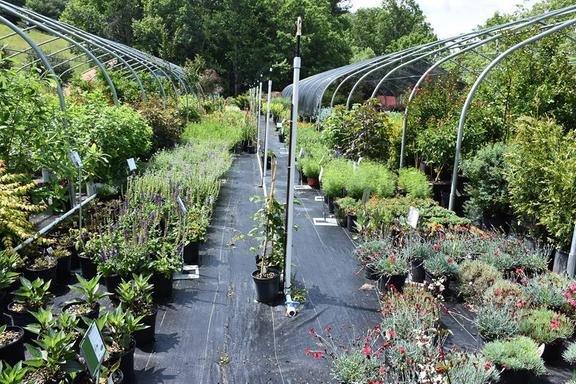 Mountain View Nursery & Landscaping