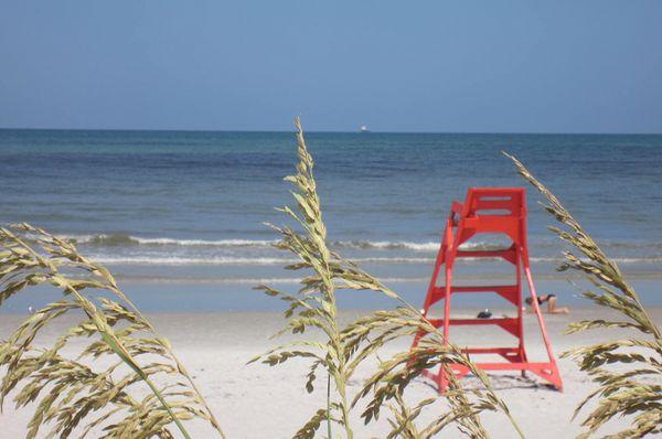 Beach Day!