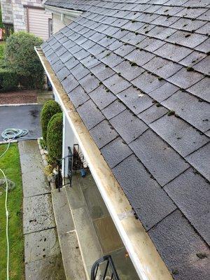 Complete gutter cleaning