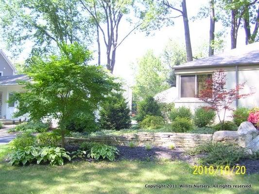 Renovated landscape featuring boulders, a natural stone retainer wall, and new shrubs and ornamental trees.