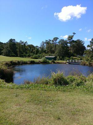 Pond @ the green