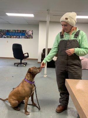 Meet our trainer and adorable Hypatia as she learns to take treats for good behavior