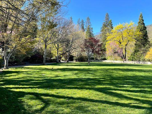 The view of Lithia Park across the street from Skout's outdoor seating.