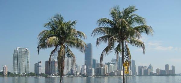 Miami's Brickell Skyline