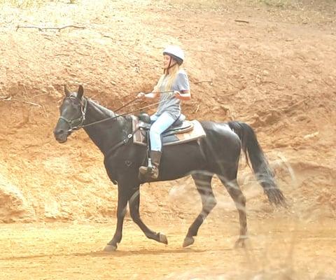 Horse Show on Last Day.  Fun times!