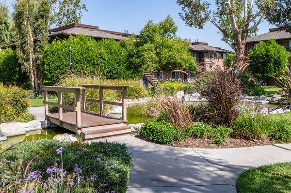 Casa Sierra features a beautifully landscaped koi pond, walking path, and bridge in the main courtyard.