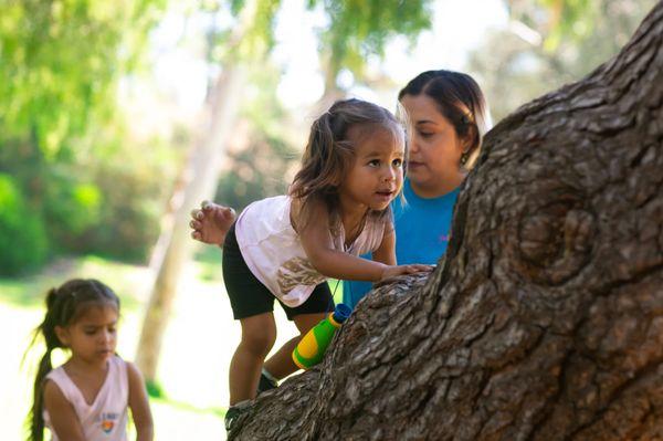 Little Macacos Forest School