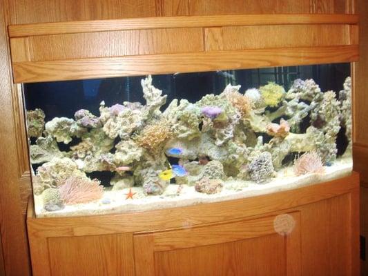 AquArt Custom Aquariums