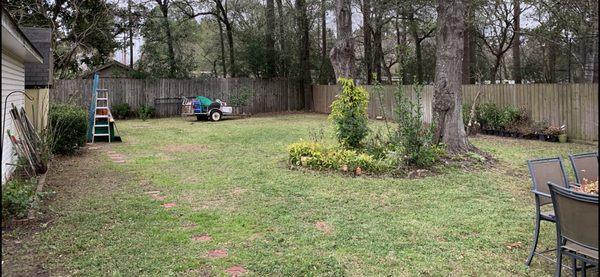 Back yard after clean up.