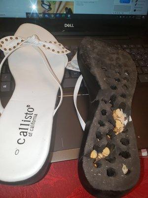 Shoes worn first time- bottom sole dropped off, then wedge cracked - literally disintegrated 1 hr after I put them on. Can't contact anyone-