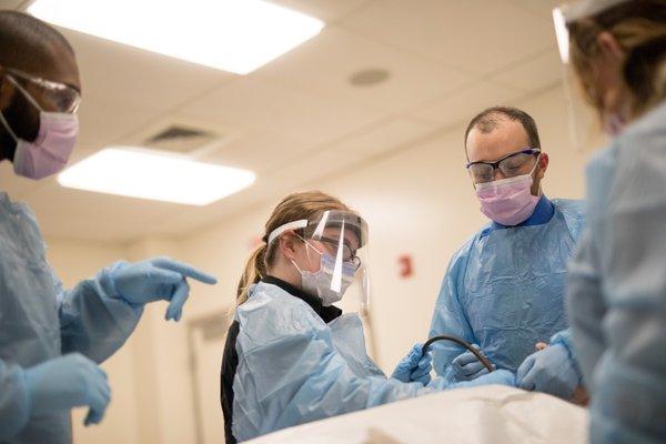 Professor Shea guides students through the embalming process