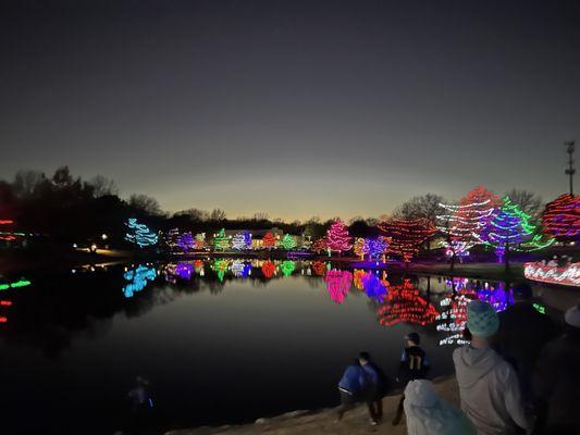 Holiday lighting. Just perfect.