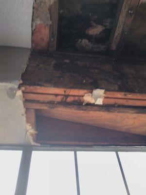 Rotten inside of ceiling