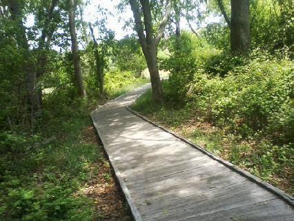 Path from the parking lot to the estate