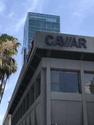 Caviar on 6320 Sunset Blvd