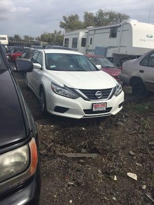 My 2016 Nissan Altima in impound