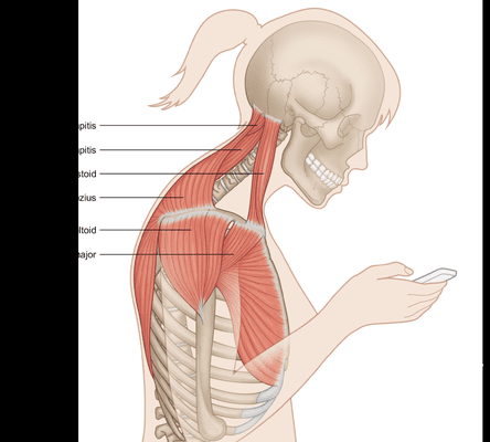 Stevenson Therapeutic Massage