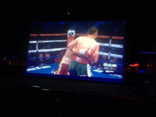 Projection tv to watch the fights