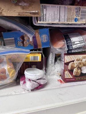 The freezer