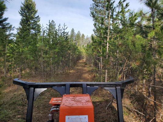 Regal Mountain Forest Management Coeur d'Alene ID