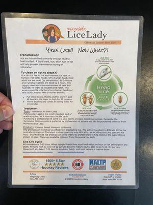 Lice myths and facts