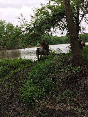 Amazing and attentive staff, beautiful trails along the Cedar River, fabulous horses!