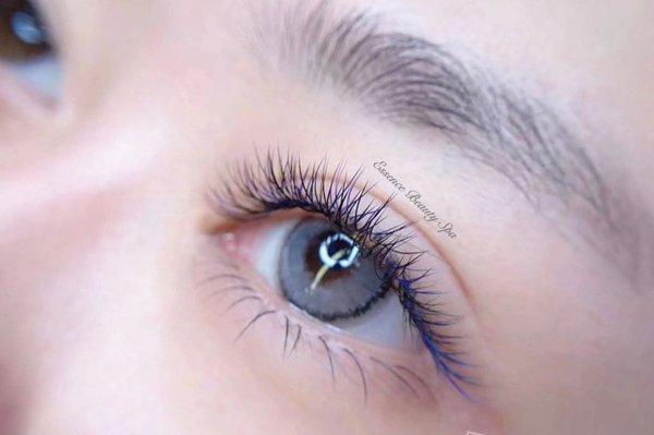 Lash By Michelle 