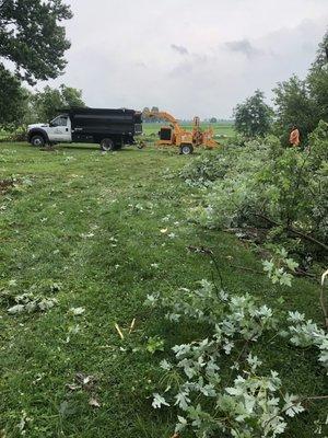 Tree removal