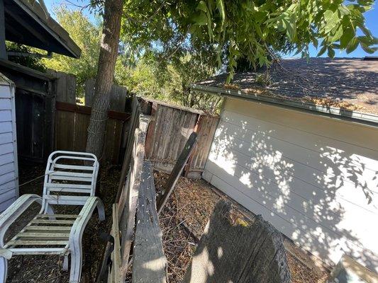 Branches/leaves left in other neighbors backyard