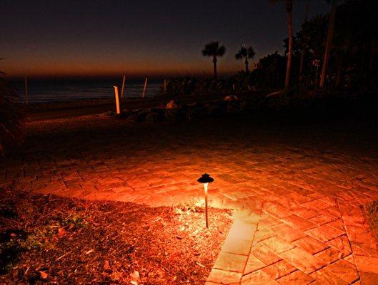 Turtle safe lighting