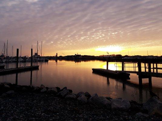 JEB Little Creek Cove Marina