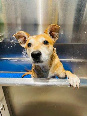 Bath time and she loved it.