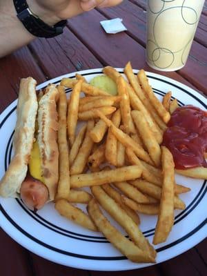 Hotdog and fries