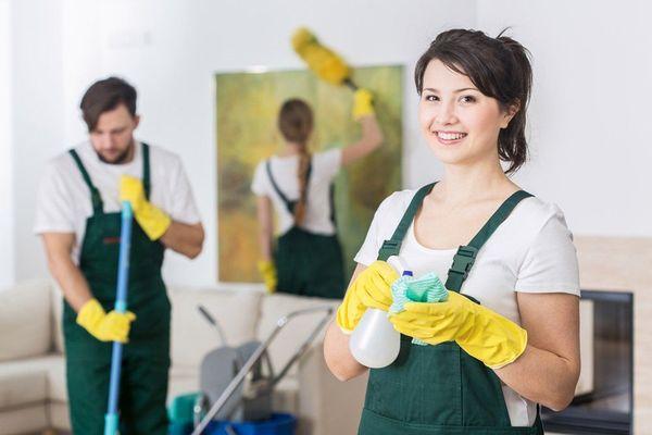 The Cleaning Pros