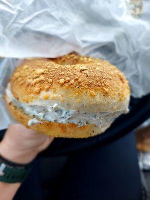 Parmesan Bagel with garlic herb cream cheese