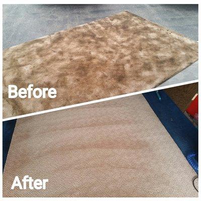 Before & After Example Rug Cleaning Lexington KY