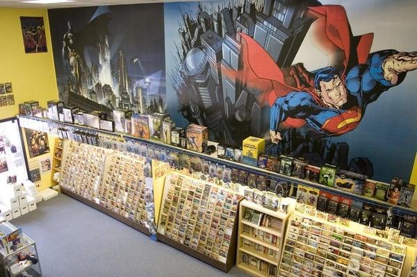 10 foot x 30 foot wall mural = AWSOME!