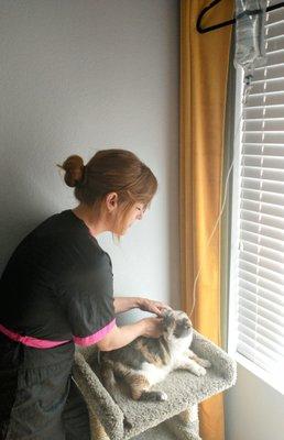 Whitney giving SQ fluids to Mae Mae. It only takes 3 mins and is an incredibly important tool in supporting cats with renal (kidney) disease