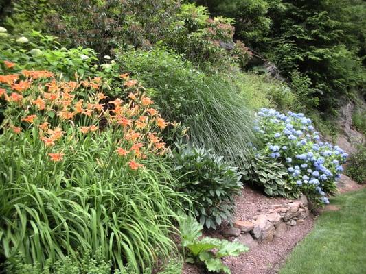 How to attractively plant a steep slope to reduce erosion.