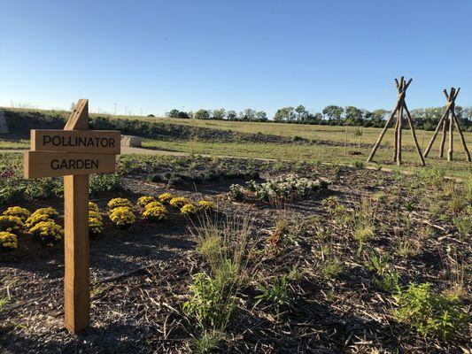 Pollinator garden next to shelter