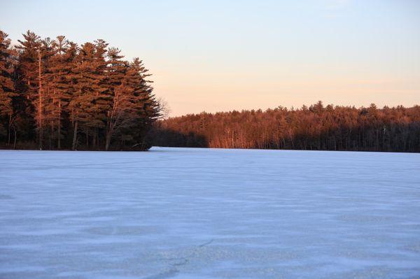 Frozen Lake， Forest