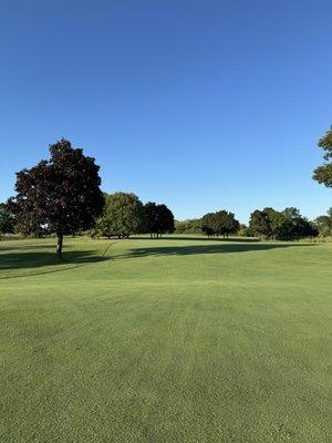 Maple Meadows Golf Course