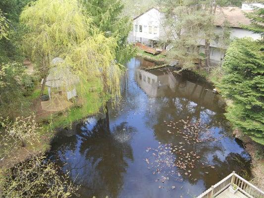 Lynnwood Office View