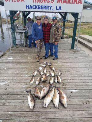 Big Bronze Bayou Beauties!